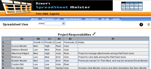 Basic Spreadsheet Meister view
